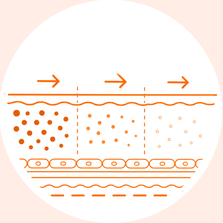 Untitled design (9)